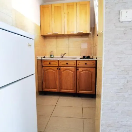 Villa Max Vir Apartment